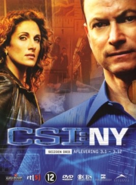 CSI New York Seizoen 3.1