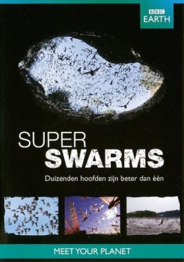 BBC Earth: Superswarms