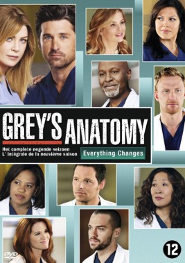 Grey's Anatomy Seizoen 9 DVD