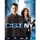 CSI New York Seizoen 6.1