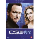 CSI New York Seizoen 4