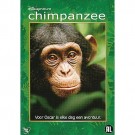 Chimpanzee DVD