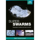 BBC Earth: Superswarms