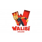 Walibi Holland (vanaf 6 jaar)